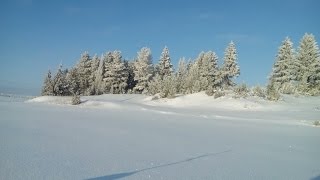 Бешанный клев окуня!!!! Рыбалка в Удмуртии!