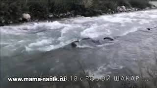 WEICOM to the Pamir 08.08.18 Rose Shakar (Мургаб)