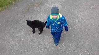 Малыш и кот