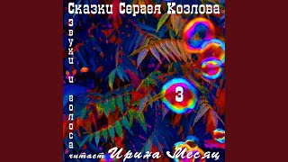 Ворон - Ворон