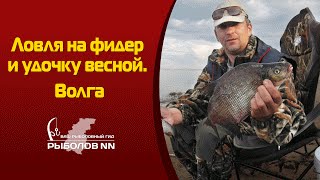 Ловля на фидер и удочку весной  Волга