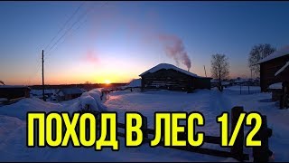 Поход в зимний лес с бездельниками 1/2.