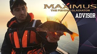 Спиннинг MAXIMUS ADVISOR.  Ловля окуня, судака и щуки на спиннинг. Kamfish