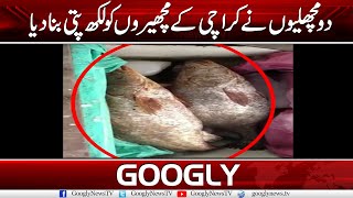 Karachi Fishermen Become Millionaires After Catching Two Fish | Googly News TV