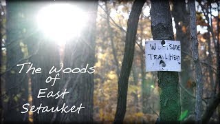 The Woods of East Setauket - My Home Trail