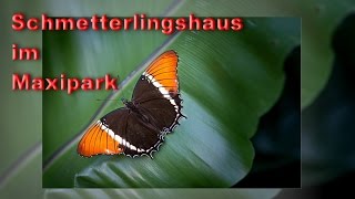 Schmetterlingshaus MaxiPark Hamm
