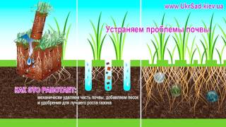 Аэрация газона. Все секреты от профессионалов | УкрСад - комплексный уход за садом и газоном