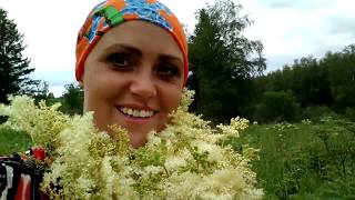 Заготовка чая\\Вася приехал\\Купили мясорубку\\Соц Защита\\