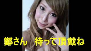 華鈴灯娘～元横浜市長中田宏鄭宏愛人奈々～
