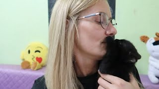 VLOG Собаки , кошки,  дети / Мы есть а Акинаторе / Кира уезжает / Покупки для Слайма