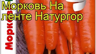 Морковь на ленте Натургор (Naturgor). Краткий обзор, описание характеристик, где купить семена