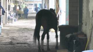 Lava Man Eating Routine