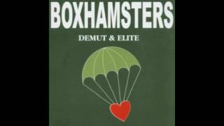 Boxhamsters - Beende deine Jugend
