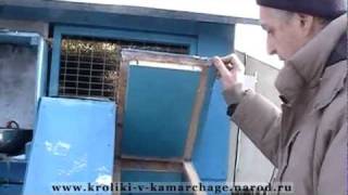 kletka-kamarchaga-2011