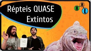 OS 5 RÉPTEIS MAIS RAROS DO MUNDO - Curiosity 26 | BláBlálogia