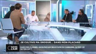 C dans l'air - Je cultive ma drogue... dans mon placard 15/04/15