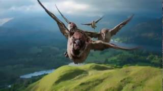 Tavsan Peter 2018 TR (animasyon filmi)