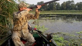 Любительская охота на водоплавающую дичь