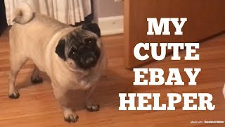 My Cute Ebay Helper | Using Terapeak To Increase Ebay Sales | Reseller Vlog