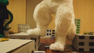 Macro and Micro Meet Macrofurs at Eurofurence 2018 EF 24 for Macrophile Furs