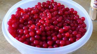 Мега вкусный Кисло сладкий соус из красной смародины.