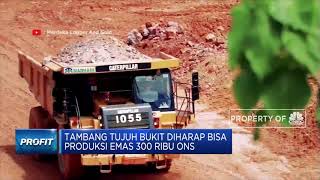 Produksi Emas Merdeka Cooper Gold Terhalang Longsor