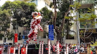 Múa Lân Sư Rồng - Hằng Anh Đường Mai Hoa Thung Nhảy Xa 3 Mét Và Đi Dây Tết 2020 | Lion Dragon Dance