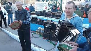 Зараза брось, Гармоніст  -  Ярмарок