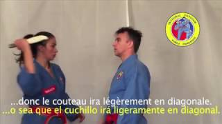 Integral Vovinam Tutorial Tutorial 33