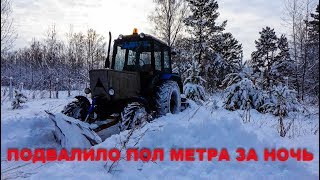 Пол метра снега за ночь! Опять чистить.