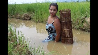 Amazing Fishing at Battambang   Beautiful Girl Fishing   How To Catch Fish By Hand Part30
