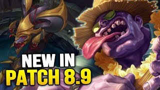 New in Patch 8.9 - Big Baron & Mid Lane Changes! (League of Legends)