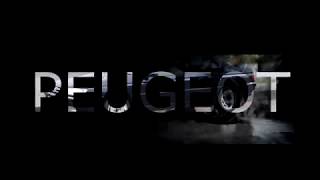 Part 1. Самодиагностика PEUGEOT. Разъем PCA 30. Правила извлечения и чтения кодов