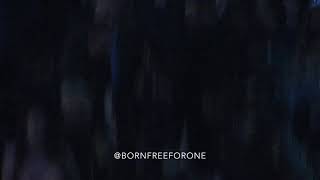 180520 BTS Greets Little Girls @BBMAs