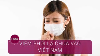 Virus viêm phổi Trung Quốc chưa "nhập cảnh" Việt Nam | VTC Now