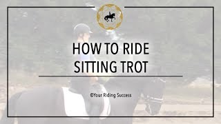 How to Ride Sitting Trot (without moving) - Dressage Mastery TV Ep3