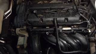 Двигатель Ford для Focus II 2008-2011
