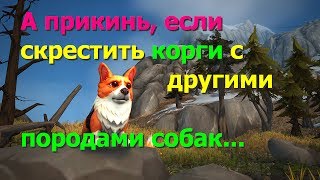 Что получится, если скрестить корги с другими породами собак