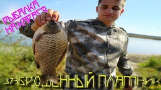 Рыбалка на карася осенью. Какая рыба осталась на бывшем платном пруду? (Воронеж, Липецк 2019 Учхоз)