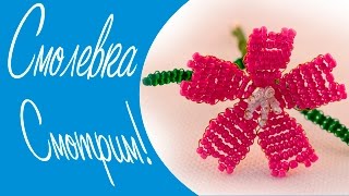 Смолёвка Из Бисера! Элемент Цветочной Композиции!