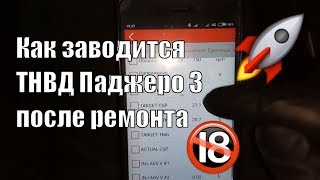 Как заводится ТНВД Паджеро 3 после ремонта в город Мурманск