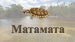 Русская Рыбалка 3.99 Матамата