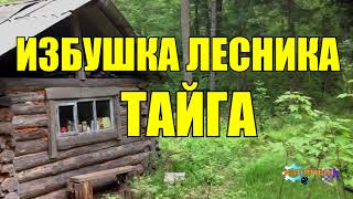 ДОБЫЧА ЗОЛОТА В ТАЙГЕ | Старый Рудознатец