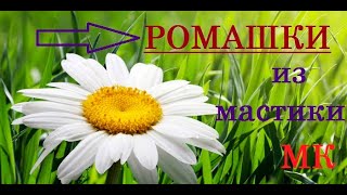 Ромашки/ Ромашки с мастики/ Торт с ромашками