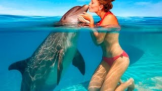 Позитивное видео для поднятия настроения, видео про дельфинов!