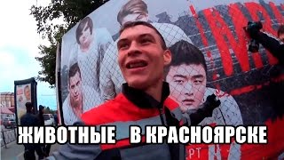 Животные в Красноярске