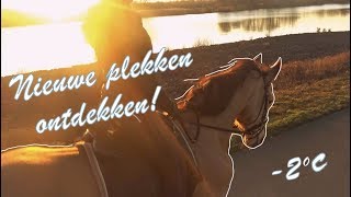 Domein verkennen & te paard naar café #vlog20