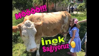 ÇILGIN MASAL KÖYDE İNEK SAĞDI !! Öykü Yine Korktu ??
