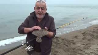 Kalkan balığı .Turbot fish ( Psetta maxima ) avı..Necmi Fidan  Kıyı balıkçısı