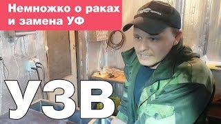 Немножко о раках и замена УФ